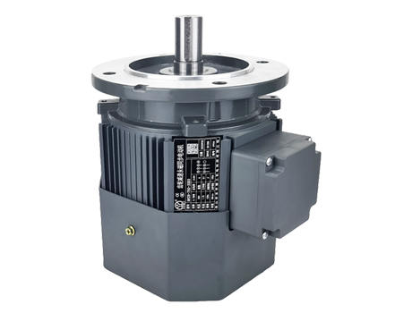 IM B5 H71-112<br>(DY系列永磁同步電機(jī))