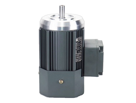 IM B14 H63-112<br>(YE4系列三相異步電機)