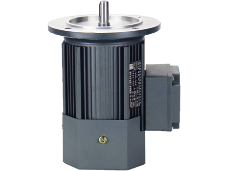 IM B14 H63-112<br>(YE4系列三相異步電機)