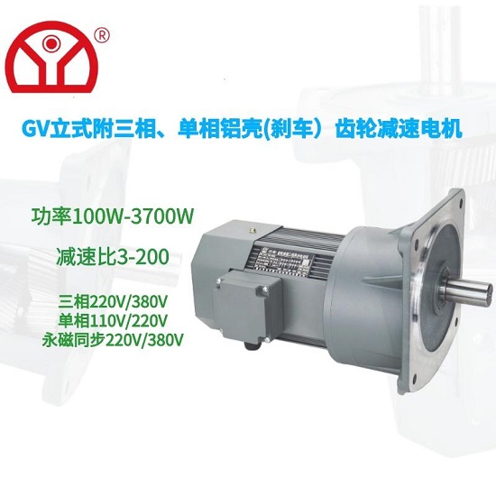 齒輪減速電機(jī)